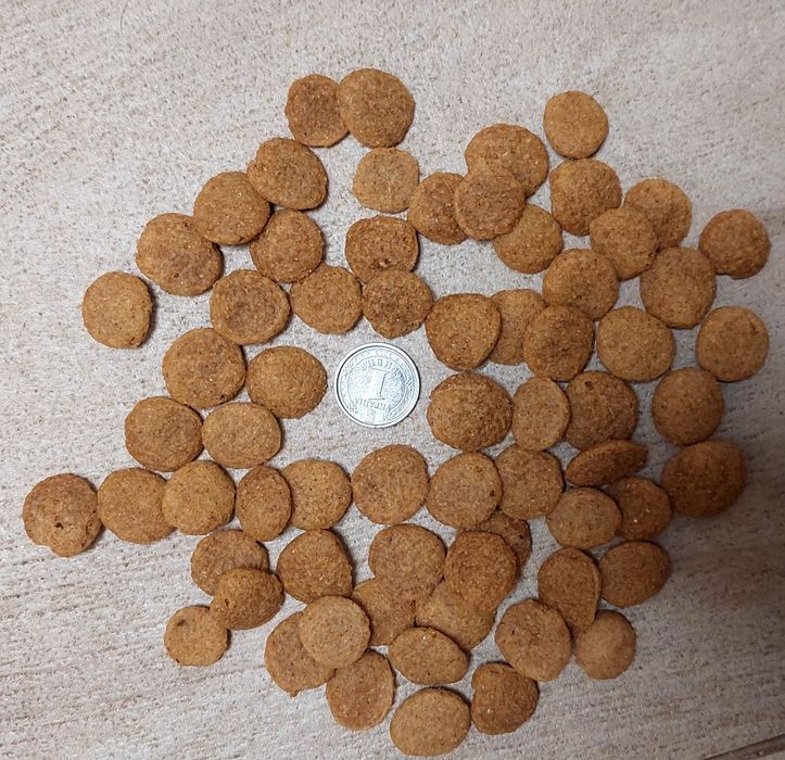 Корм для собак з телятиною та куркою