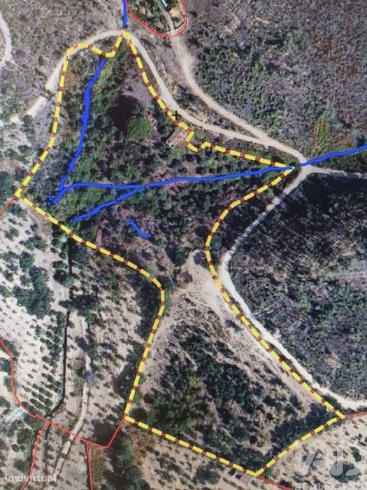 Quinta T2 em Alegrete de 82 m2