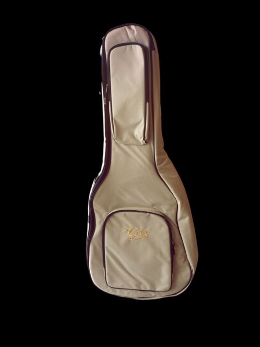 Guitarra ARTINY QTE QW 16 ST