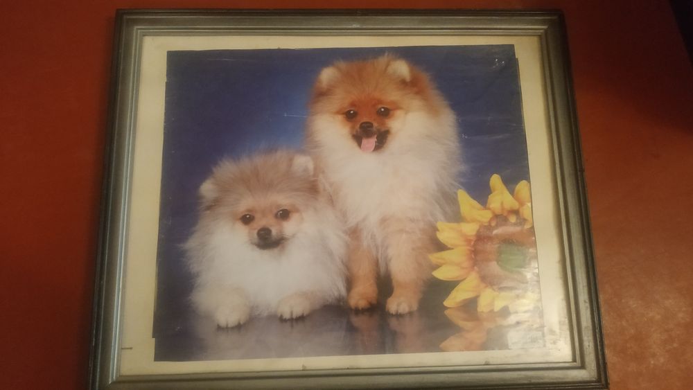 Продам картины на стену