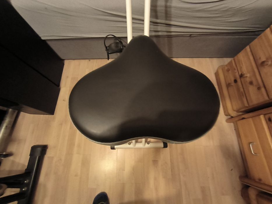 Rowerek stacjonarny firmy Kinetic