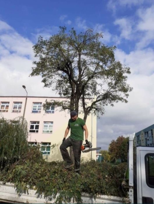 Usługi ogrodnicze i koszenie traw