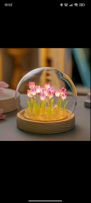 Tulip dome lamp aesthetic