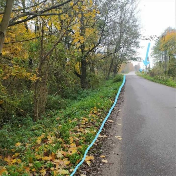 Działka w Lisewie,7300m2,BEZPOŚREDNIO!