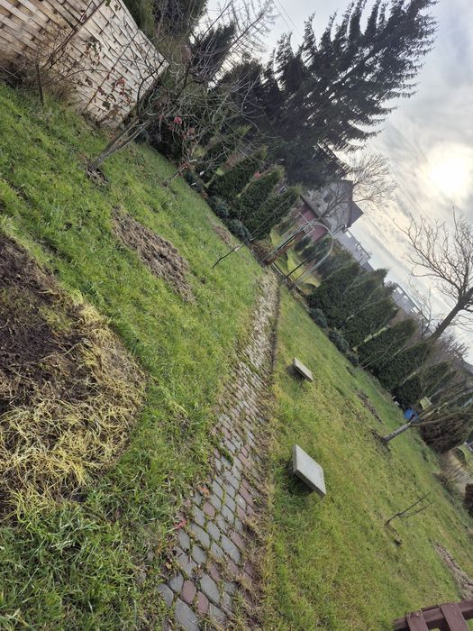 Ogródek Działkowy ROD ZACISZE Bytom Centrum