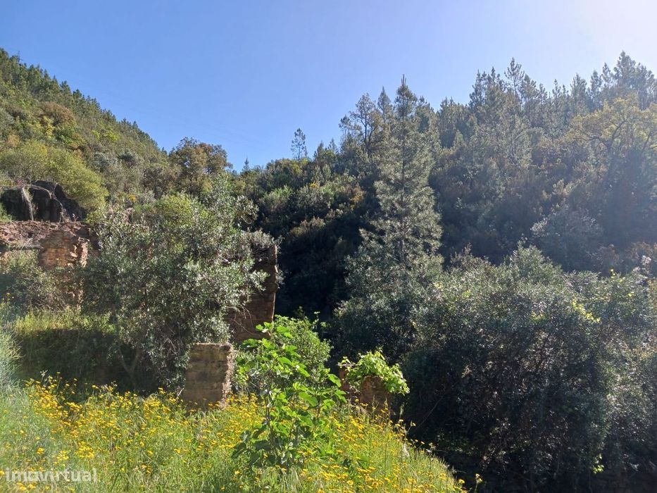 Land Plot
