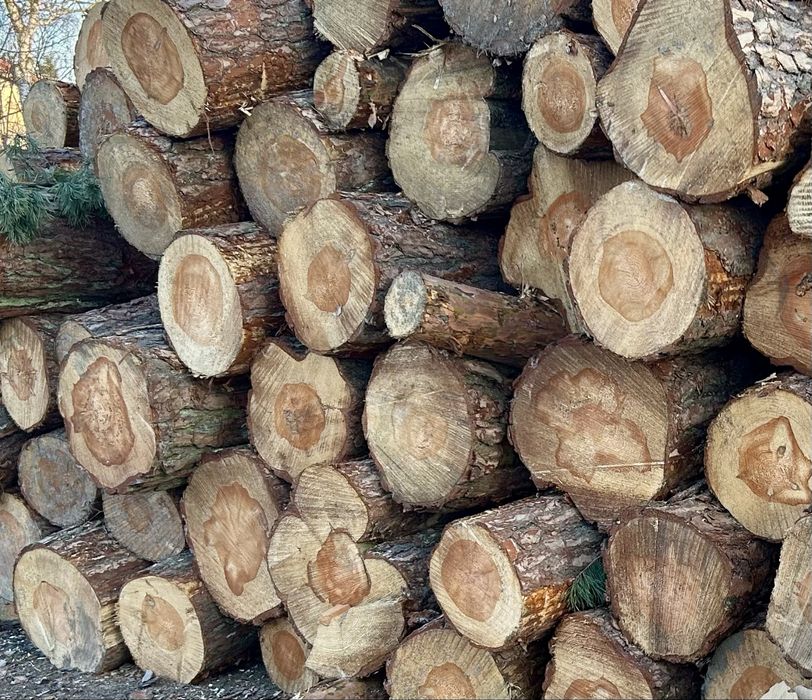 Sprzedam drzewo cięte i rąbane