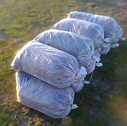 Estrume de Ovelha & Cabra