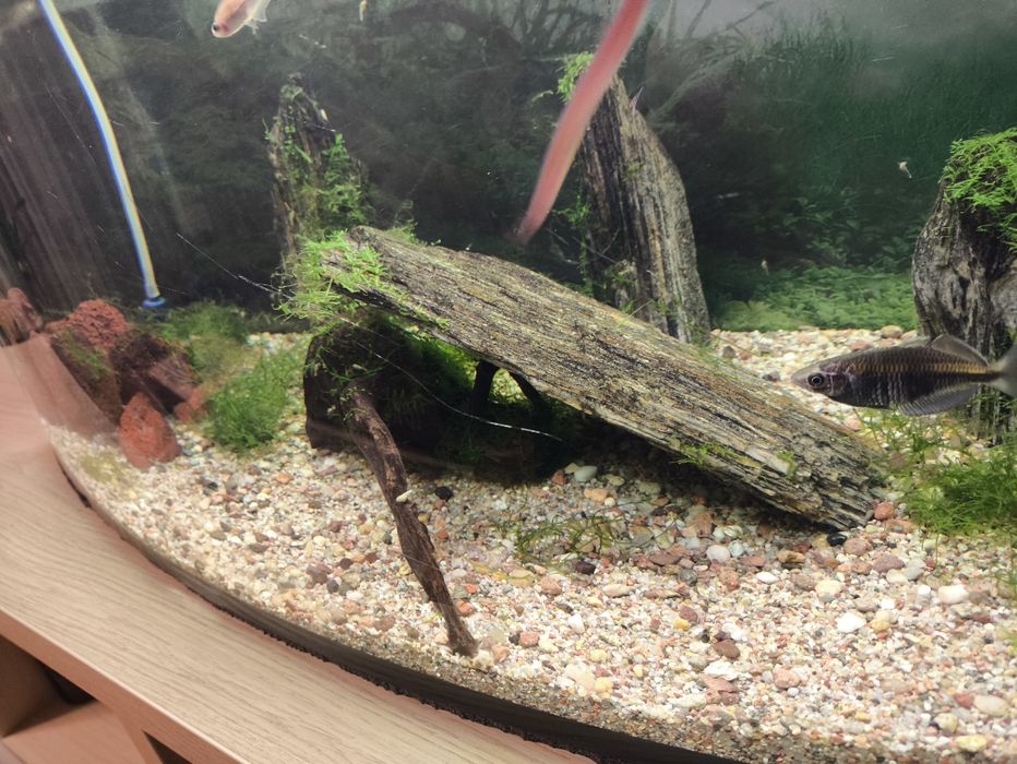 Akwarium 112l pełen zestaw