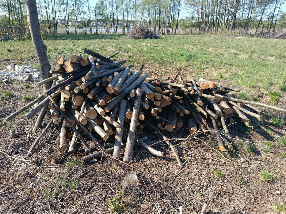 Drewno opałowe olcha