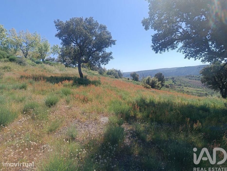Terreno em Freixo de Espada à Cinta e Mazouco de 49572,00 m2