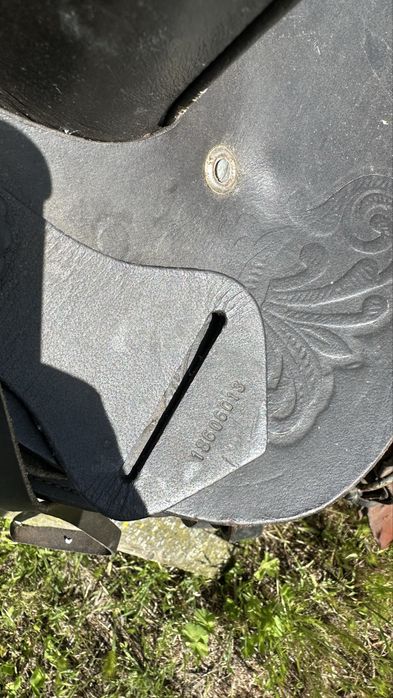 Cela Cavalo Equitação