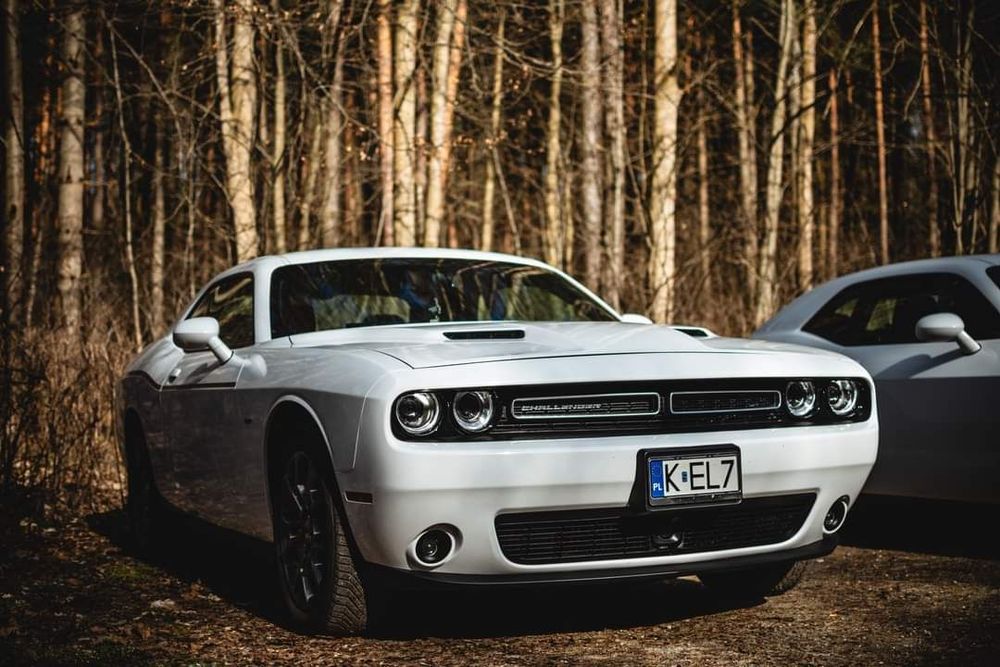 Dodge Challenger GT AWD 2017 "Mruczek"