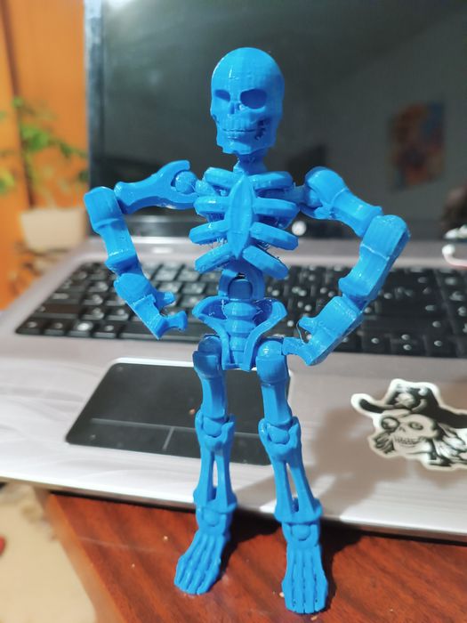 Скелет- антистрес надрукований на 3д принтері