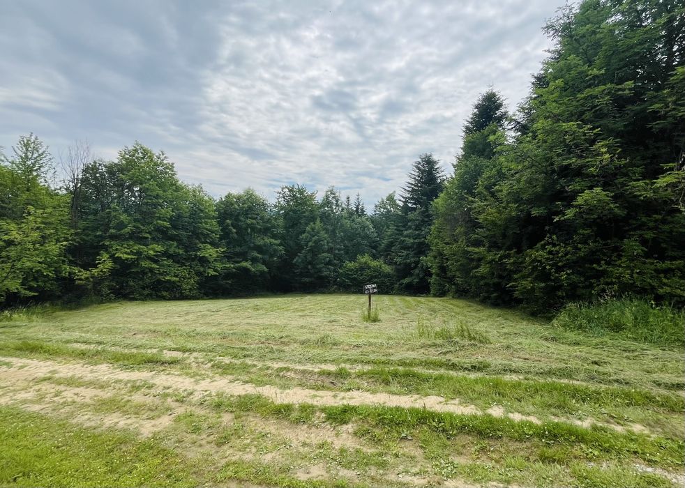DZIAŁKA ROLNA - Bieszczady - Widok 3