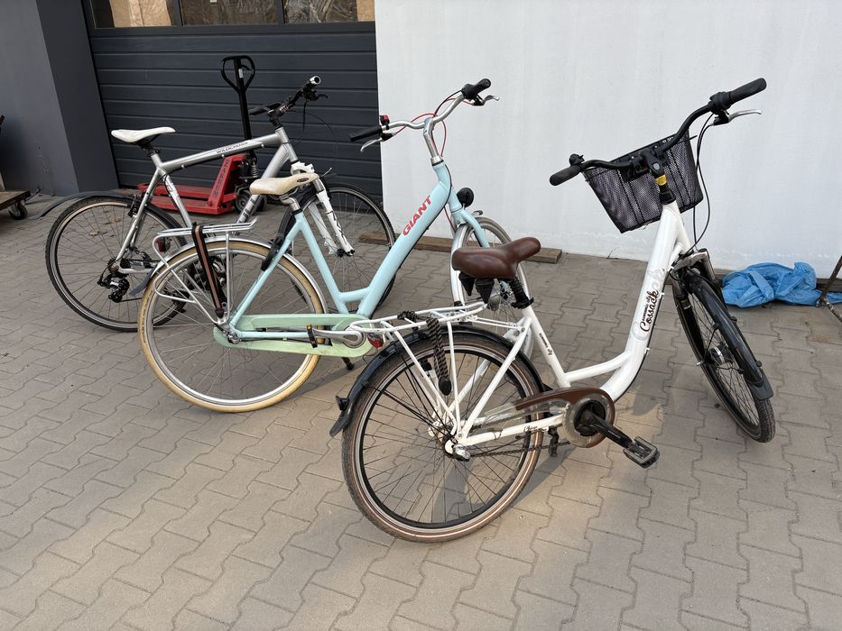 Rower miejski Giant Chill Bulls Trekking kross gazelle