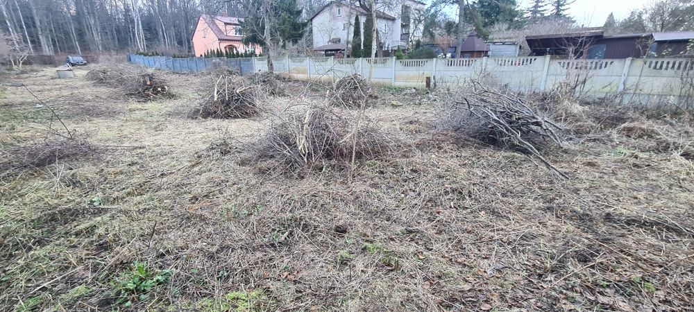 Oddam za darmo gałęzie cieńkie i grube, mix.