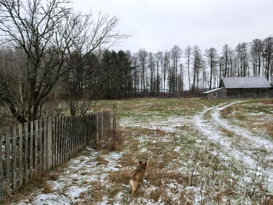 sprzedam posesję