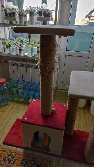 Продам когтеточку
