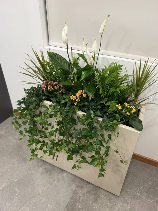 Floreira Moderna com Plantas Naturais