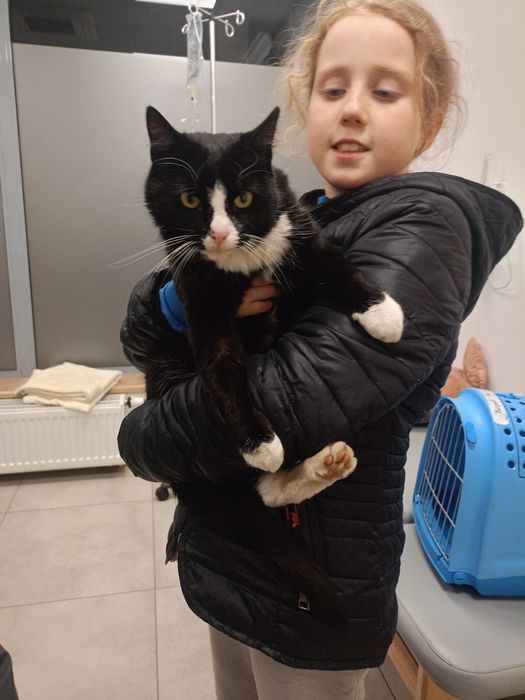 Paczusia - roczna kotka do adopcji !