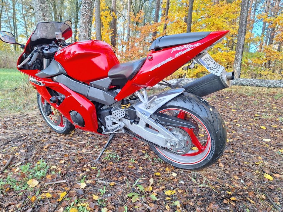 Honda CBR 954  LEO VINCE