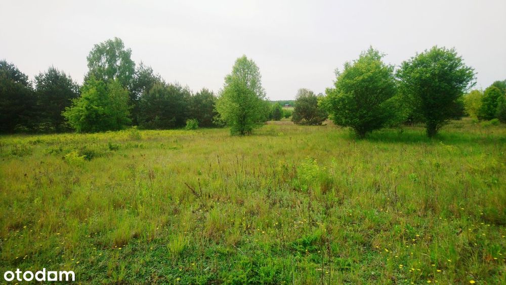 Sprzedam działkę budowlaną o pow. 1093 m² z pozwoleniem na budowę domu. - Więcej