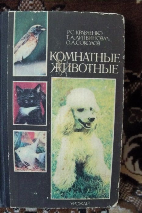 Комнатные животные