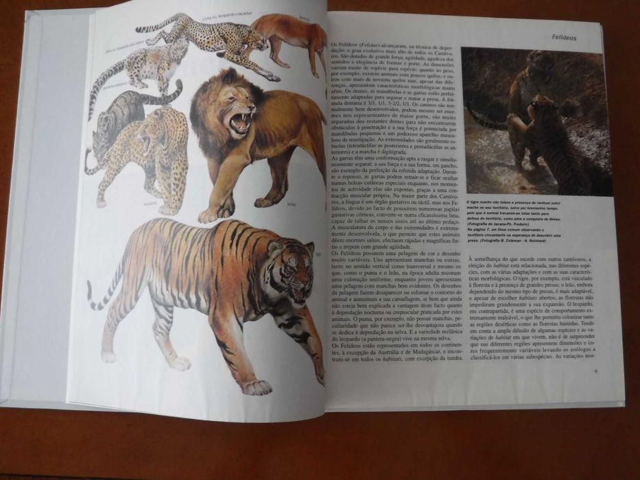 Os Animais - Público e Planeta Agostini