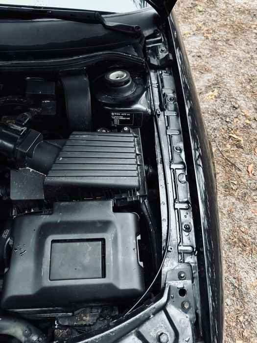 Свежопригнаная октавия