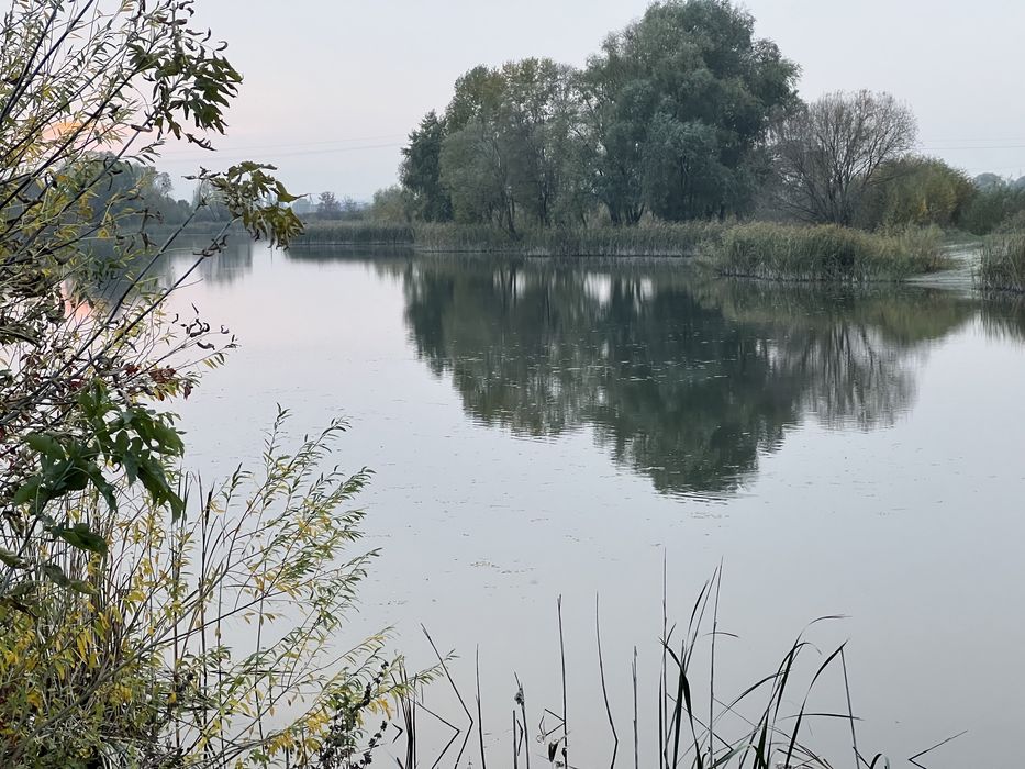 По земел уч 23сот в самом селе Погребы возле самого города Киева