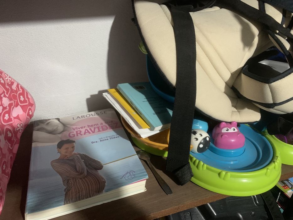 Brinquedo chicco parque animais (com ofertas)