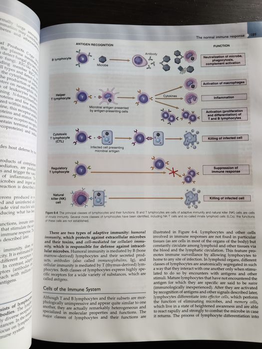 Англомовні медичні книги