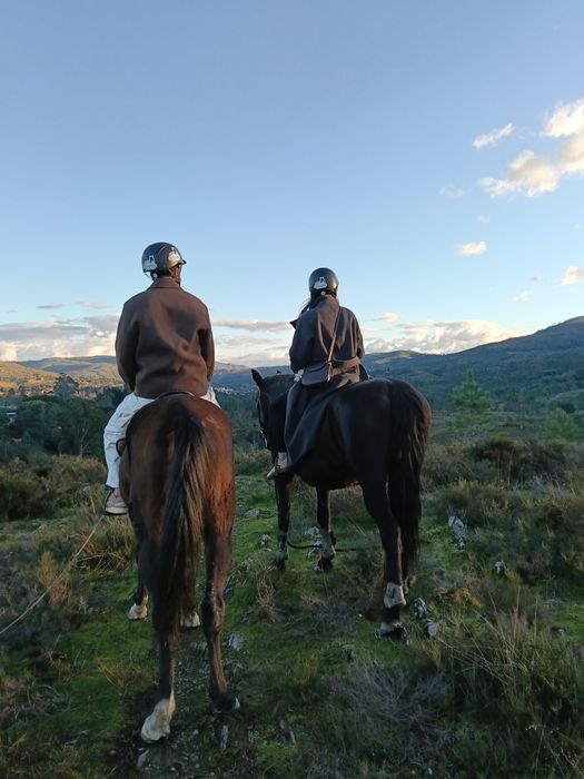 Passeios a cavalo