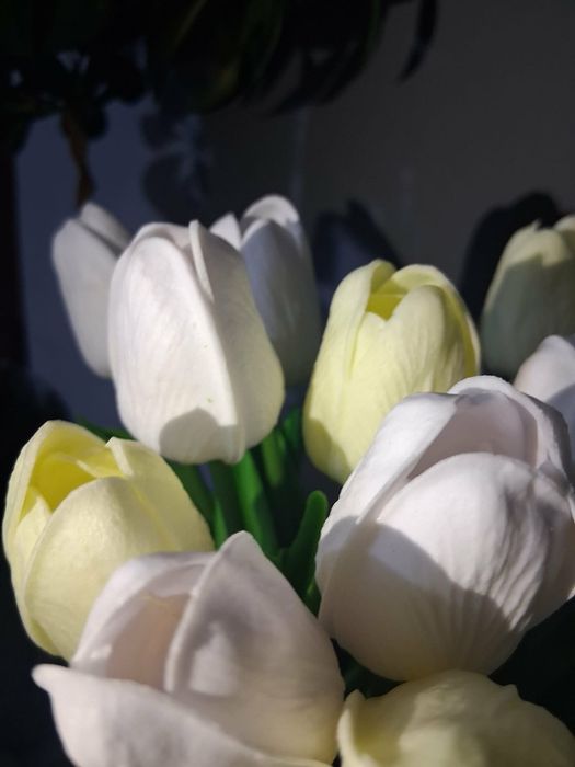 11 realistycznych, białych i mlecznych sztucznych tulipanów
