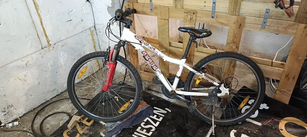 Rower Author Agang Capo 24 cale