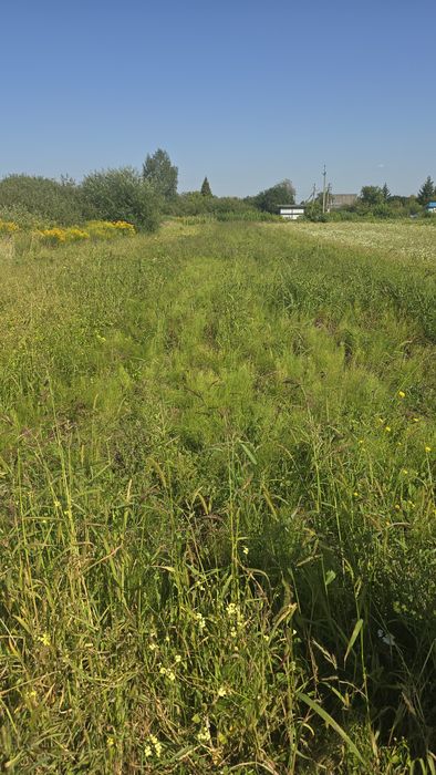 Терміновий продаж земельної ділянки в Новій Українці !!!