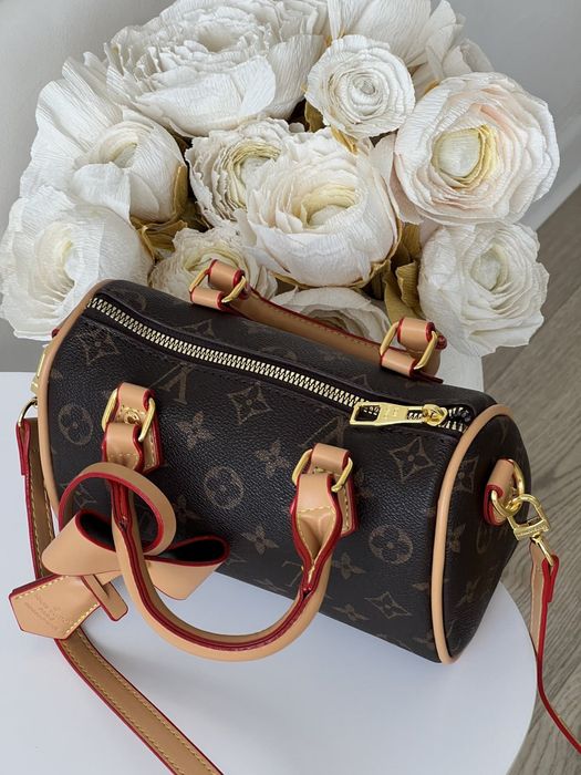 Сумка Louis Vuitton Nano Speedy