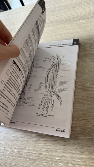 Anatomia Nettera do kolorowania