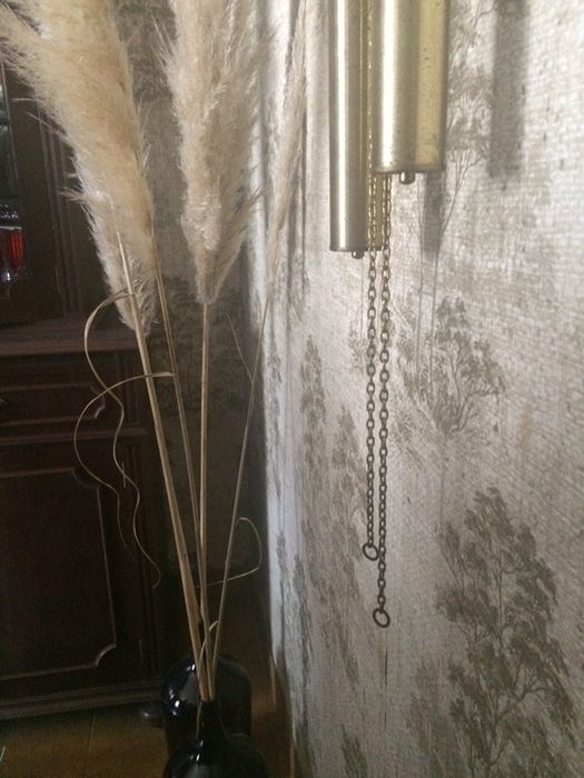 Garrafões para decoração