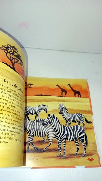 As cores dos Animais