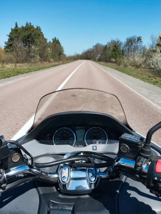 Suzuki Skyway 250 2008р