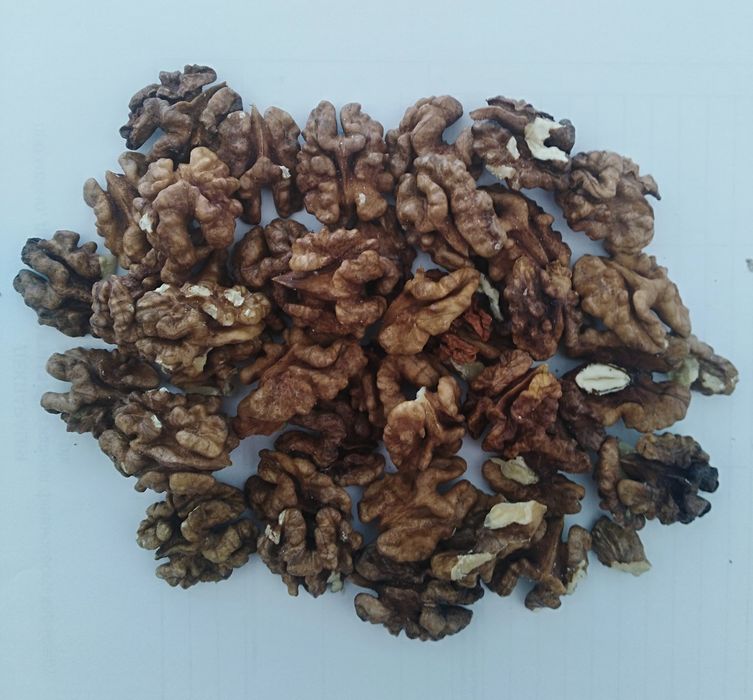 Горіх волоський (Орех грецкий). Ядро темне (янтарь)