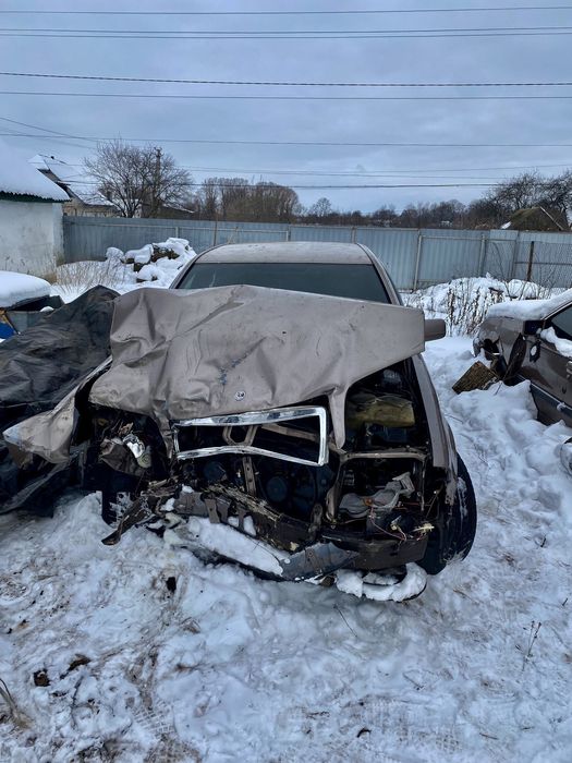 продам мурчика після дтп