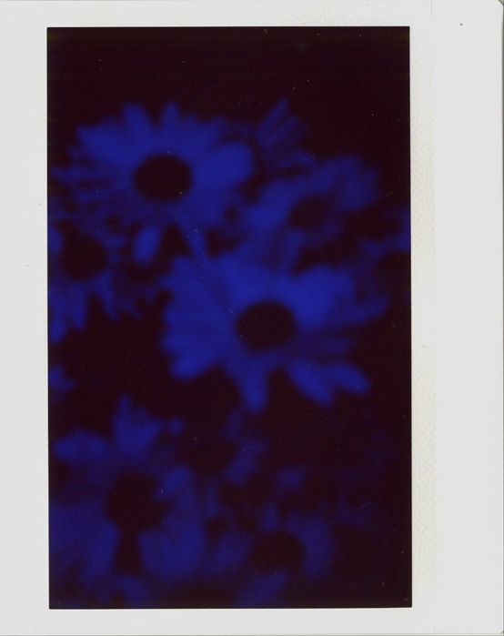 Fujifilm Instax Wide 200