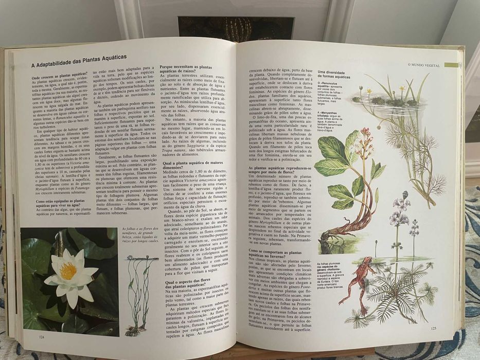 ABC da Natureza - Selecções do Reader's Digest