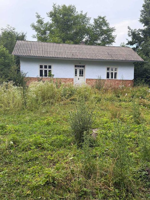 Продаж будинку з великою земельною ділянкою в с. Драчинці