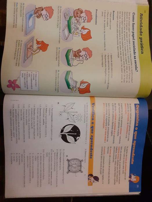 Caderno Atividades e manual VIVA A TERRA Ciências 5º