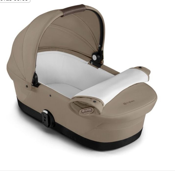Alcofa cybex Gazelle