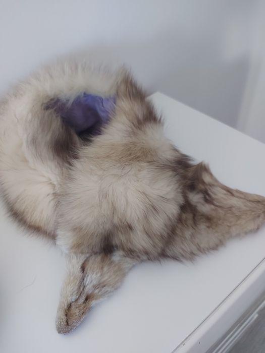 czapka z szalem-kołnierz